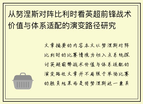 从努涅斯对阵比利时看英超前锋战术价值与体系适配的演变路径研究